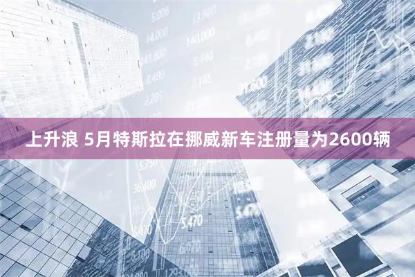 上升浪 5月特斯拉在挪威新车注册量为2600辆