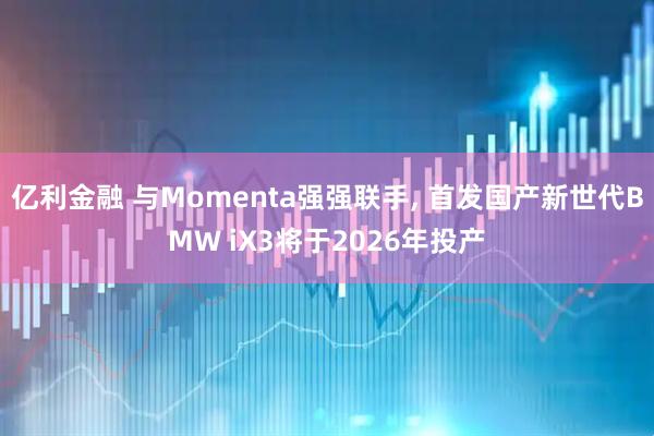 亿利金融 与Momenta强强联手, 首发国产新世代BMW iX3将于2026年投产