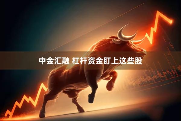 中金汇融 杠杆资金盯上这些股
