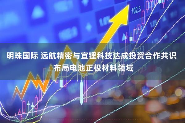 明珠国际 远航精密与宜锂科技达成投资合作共识  布局电池正极材料领域