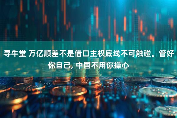 寻牛堂 万亿顺差不是借口主权底线不可触碰。管好你自己, 中国不用你操心