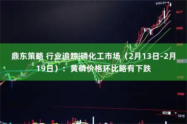鼎东策略 行业追踪|磷化工市场（2月13日-2月19日）：黄磷价格环比略有下跌