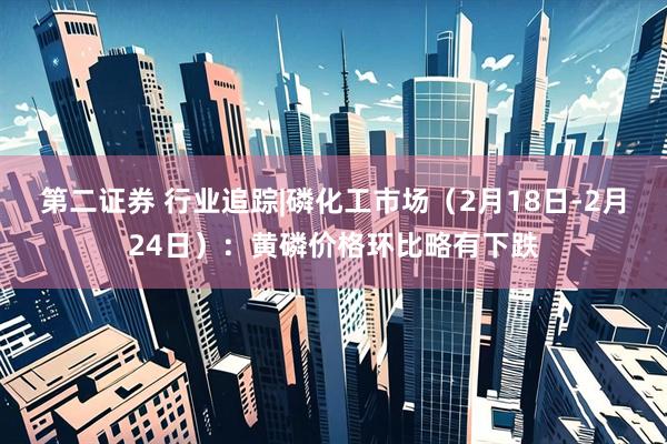 第二证券 行业追踪|磷化工市场（2月18日-2月24日）：黄磷价格环比略有下跌